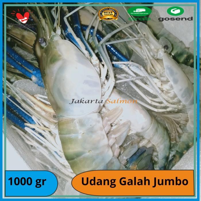 TERLARISSSS UDANG GALAH/ UDANG GALAH JUMBO 3-6 EKOR/ UDANG SATANG