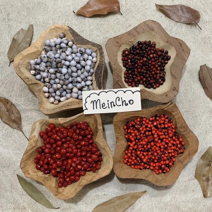 Saga Merah Hitam Pohon Saga Telik Jali Barley (100gr/350 Biji)