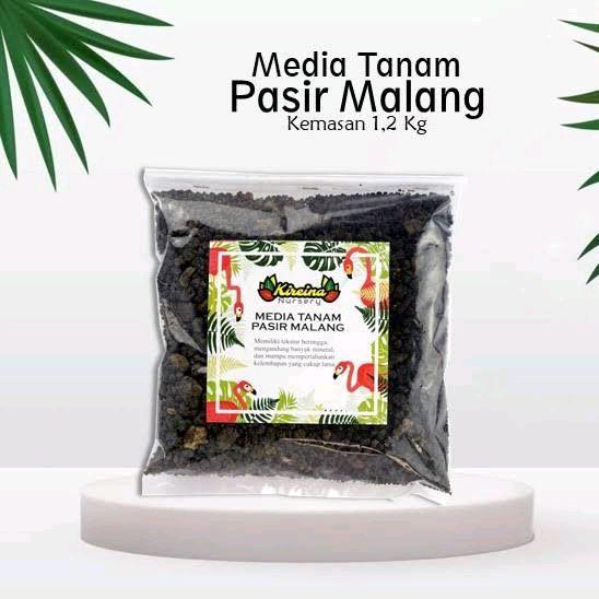 DISKON Pas3ir Malang - Media Tanam Pasir Malang Kasar / Media Tanam Pasir Malang Halus - Media Tanam