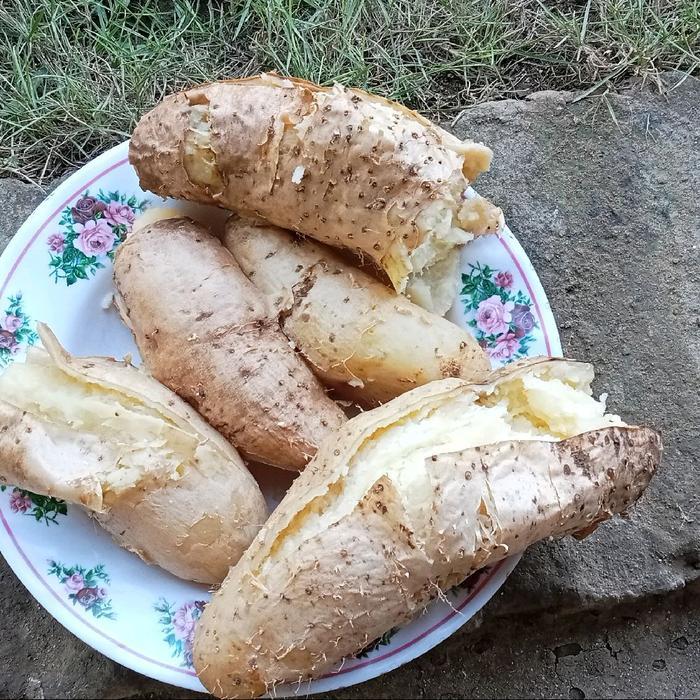 Ubi Gembili Super Pulen / Mbili Fresh Mentah 1Kg