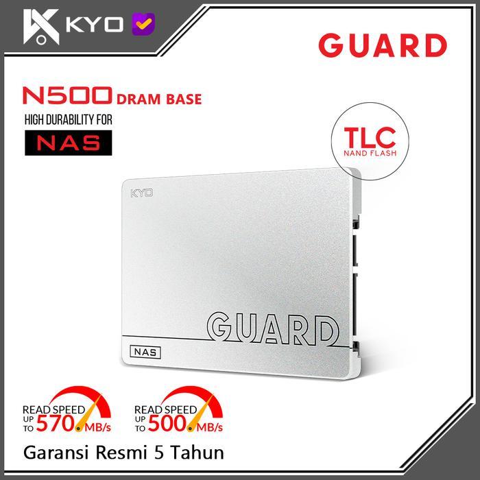 TERLARIS KYO GUARD N500 DRAM SSD 512GB / 1TB / 2TB SATA III 3D NAND TLC NAS SSD