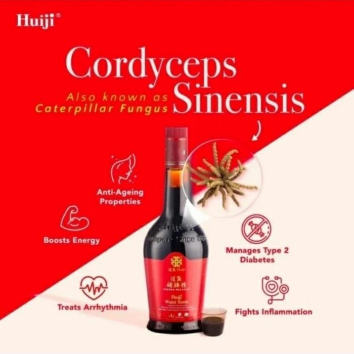 Huiji Waist Tonic Bu Yao jing Cordyceps dan Panax Ginseng