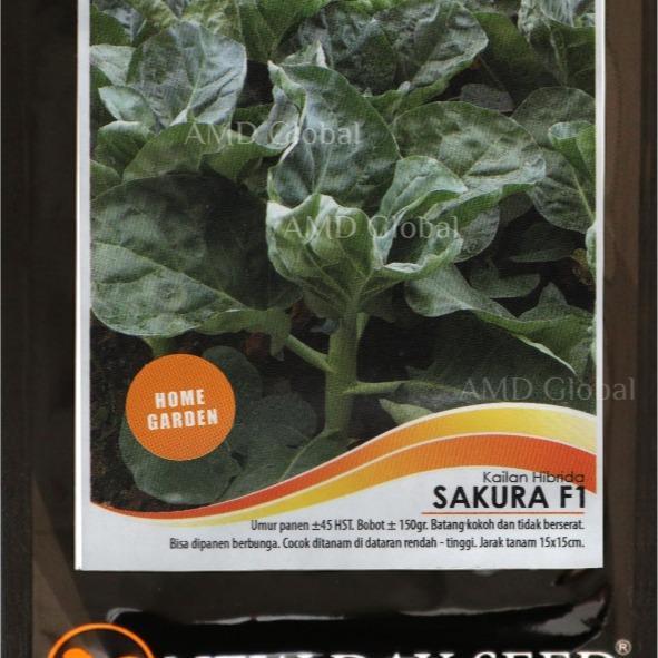 Moonieshopline Benih Kailan Sakura F1 Day Seed Isi 2 Gram