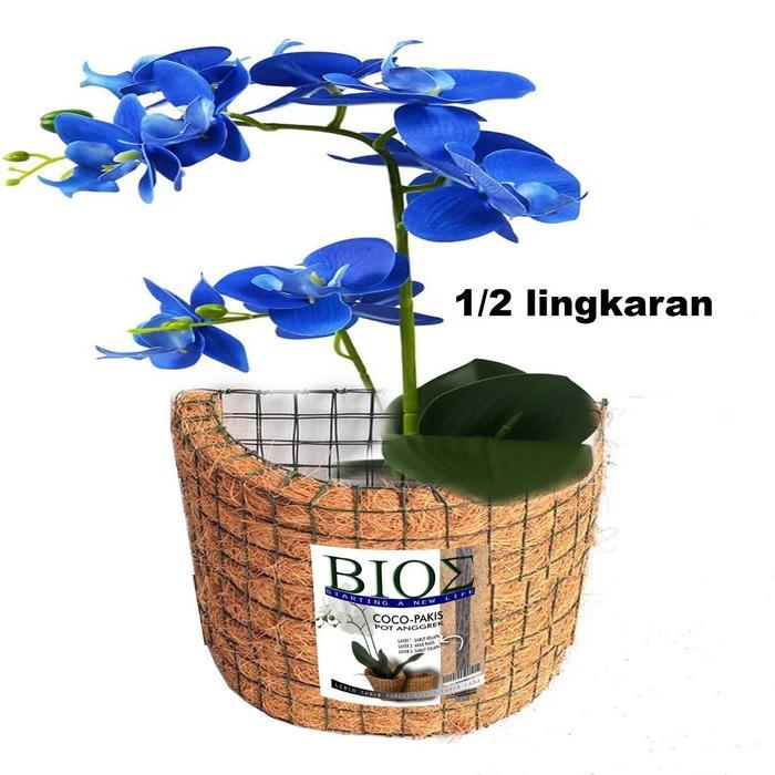 Pot anggrek sabut kelapa 3 layer mix pakis berbagai ukuran bonus media tanam OP506 1/2LING(BONUS MED