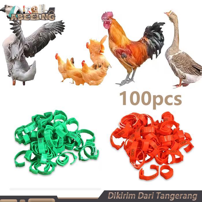 Isi 100 Gelang Ayam Unggas Gelang Kaki Anak Ayam Ring Gelang Kaki Ayam Gelang Ayam Segel Kaki Ayam