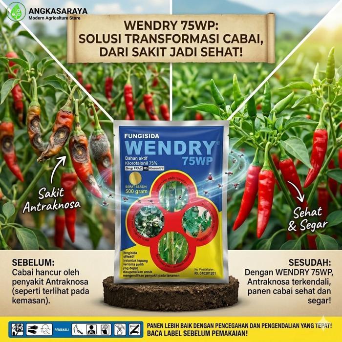 ` Wendry 75 WP Fungisida Protektif 500 gr