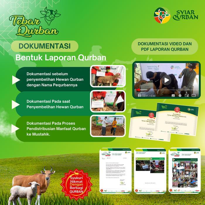 DOMBA KAMBING ATAU SAPI 1/7 TEBAR QURBAN FULL DISTRIBUSI HEWAN QURBAN