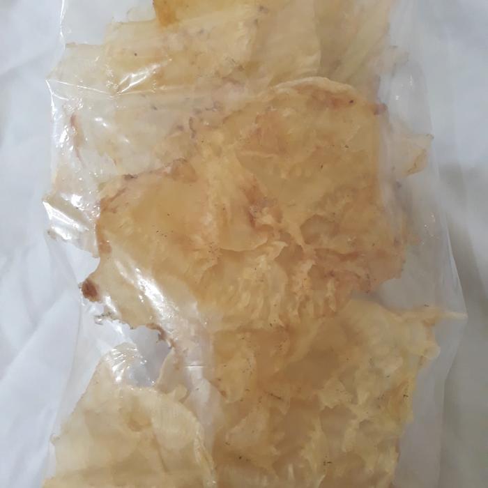 Gelembung Ikan Manyung Kering Mentah 100 Gram - Bahan Masakan