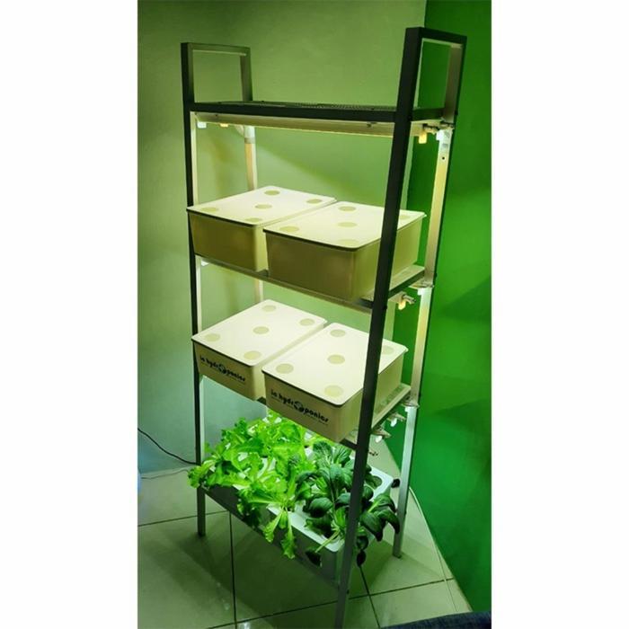 Terlaris Hidroponik Indoor Set Grow Light - Baswara W30