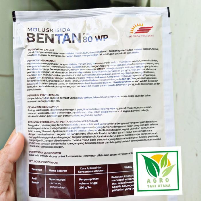 Bisa Grab Bentan 80 Wp Plus 100 Gram Moluskisida
