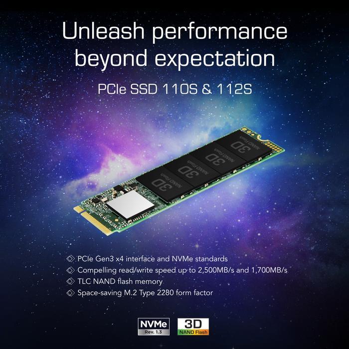 TERLARIS Transcend SSD M.2 PCIe MTE110S NVME