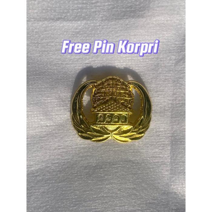 GRATIS PIN KORPRI/ BAJU PNS PEMDA GURU LAKI-LAKI BAYI TK SD/Seragam PNS Anak/Kostum ASN Anak/Kostum