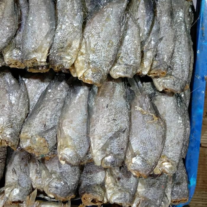 

DISKON asin sepat palembang 250gr READY STOCK