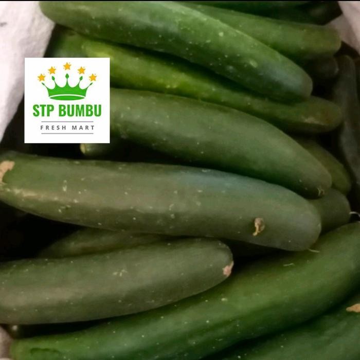 

Pilihan- Timun Jepang Kyuri 1Kg / Ketimun - Grosir