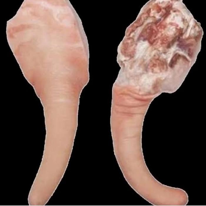 

Pilihan- Buntut Babi 500Gram