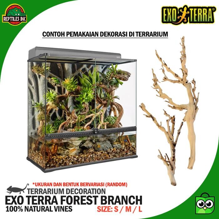 Exoterra Forest Branch Ranting Pohon Dekorasi Hiasan Kandang Hewan Reptil Kadal Iguana Chameleon