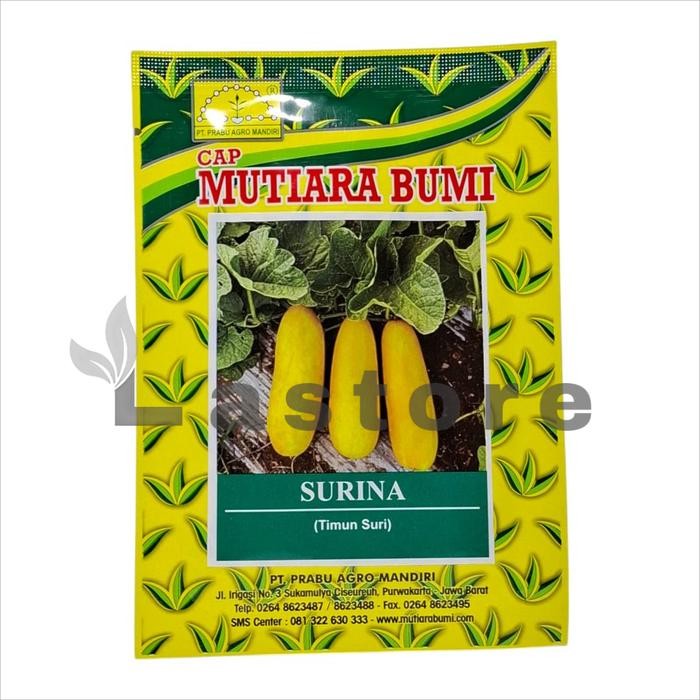 Stok Baru Benih Timun Suri SURINA Isi 20 gram Cap Mutiara Bumi