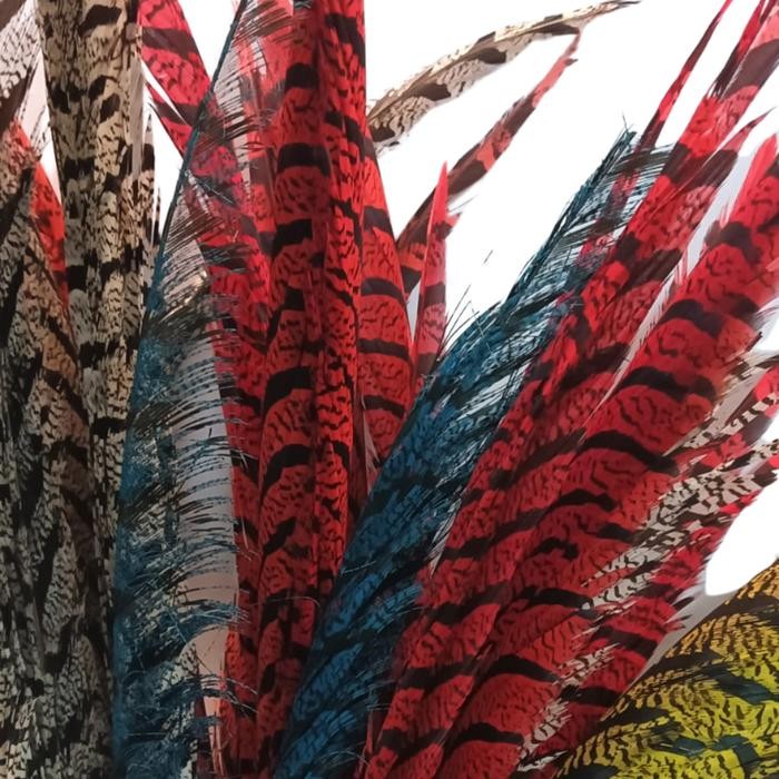 Torenda Payet Bulu Antik Sun Go Kong Bulu Ayam Natural Pheasant Tail Feathers Pheonix