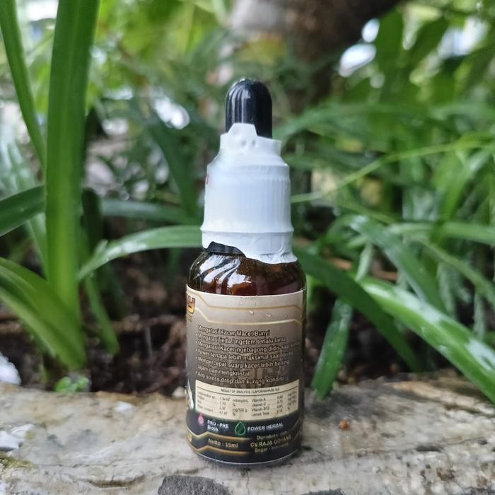 Chocolatoslatoe Rg On Play Kacer Vitamin Prebiotik Untuk Kacer Lomba