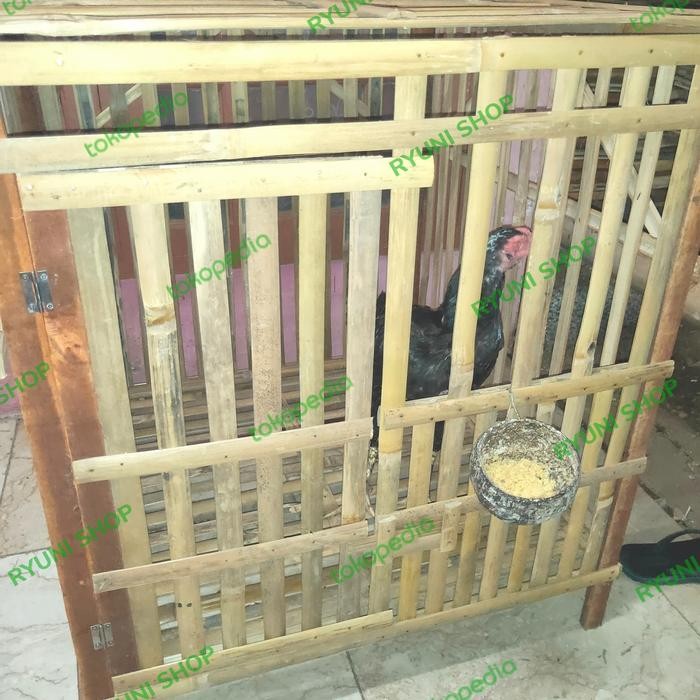 KANDANG BAMBU AYAM BANGKOK