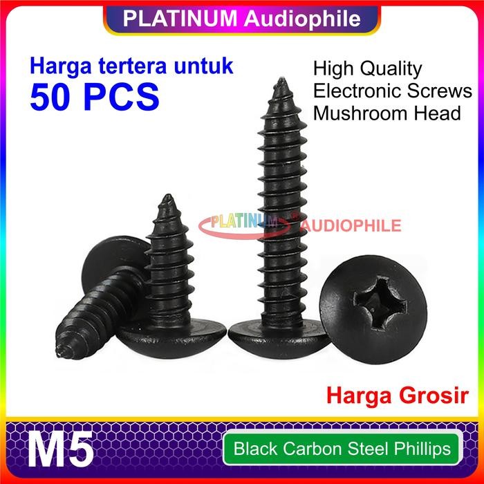 Rds - Sekrup Hitam M5 Speaker Baut Skrup Kasar Lancip Tajam Carbon Steel 50 Pcs