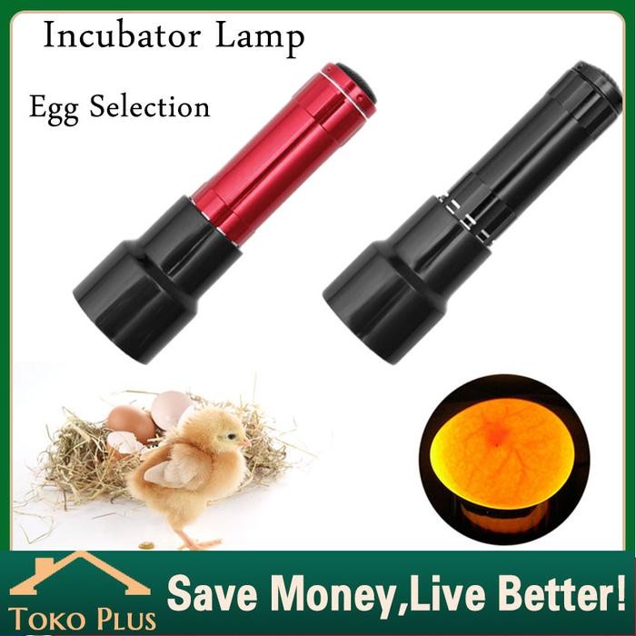 ces0- Lampu Senter Teropong Telur Burung Murai Kacer Lovebird Dll