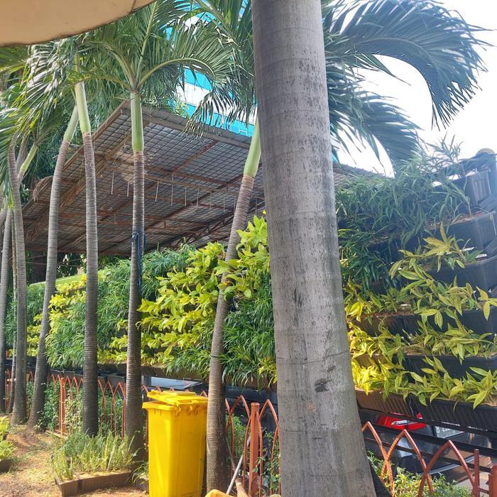 Pembuatan Taman Vertical Garden indoor outdoor - Taman Vertical