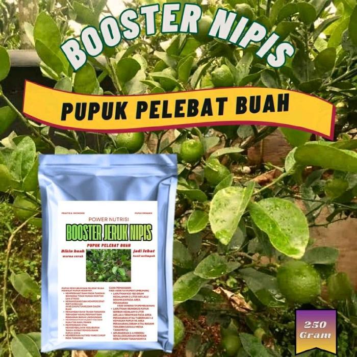 PUPUK BOOSTER JERUK NIPIS 250 GRAM - PUPUK PELEBAT BUNGA UNTUK TANAMAN JERUK NIPIS