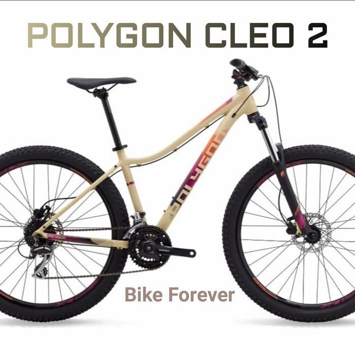 Sepeda Gunung MTB POLYGON CLEO 2