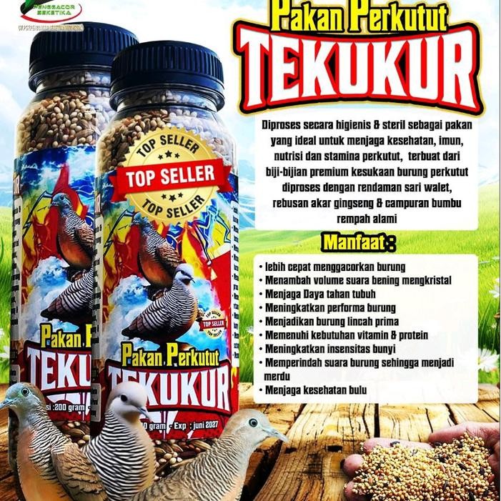 Pakan Perkutut Tekukur Penggacor Burung