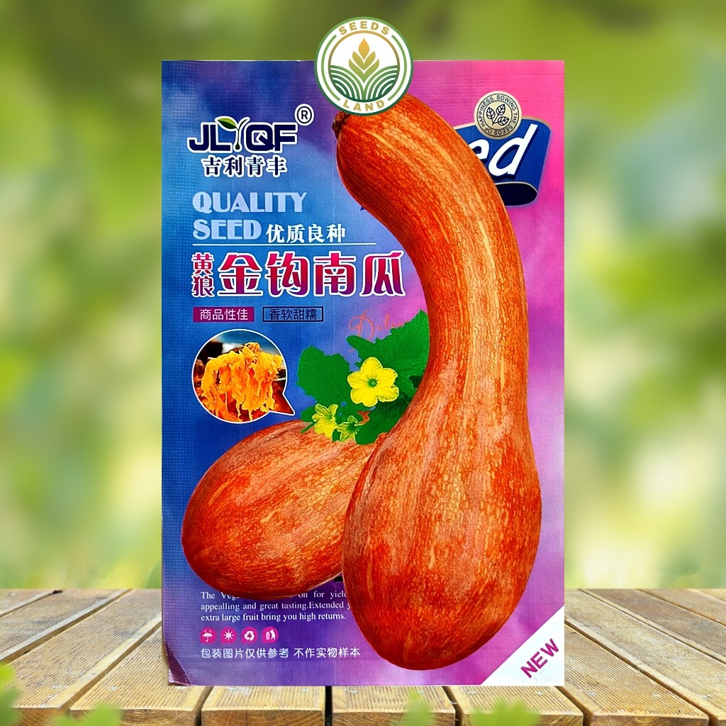 BIJI BENIH LABU KUNING PANJANG | LABU KAIL MADU MANIS LEMBUT KEMASAN ORIGINAL ISI ± 20 BUTIR