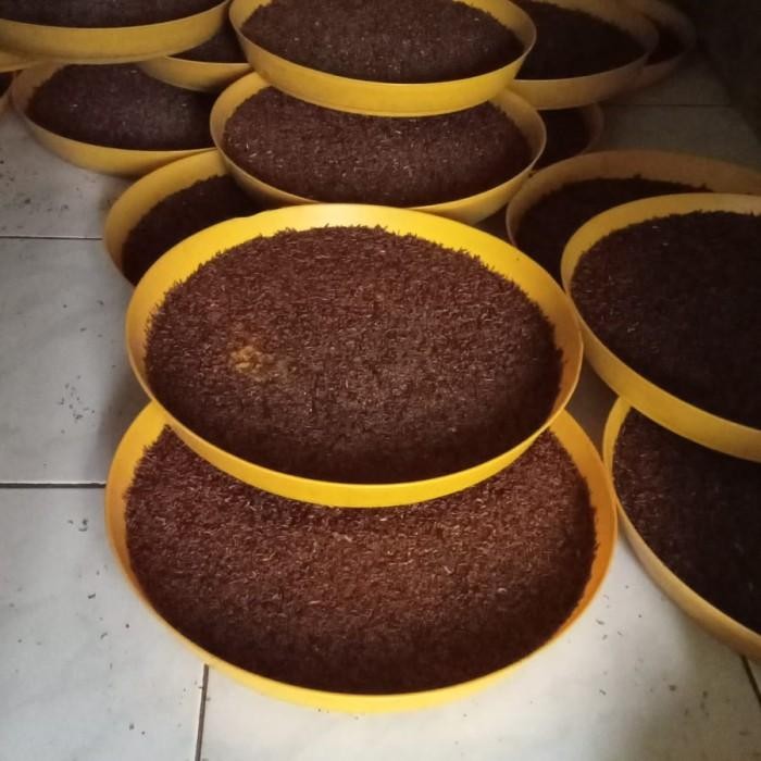 New Ulat Kandang Hidup Berkualitas Ready