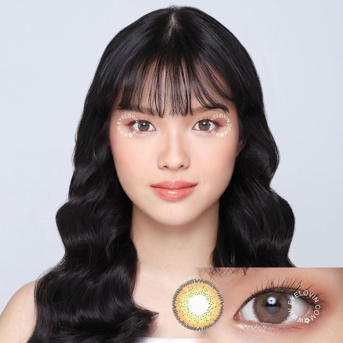 Pilihan- Softlens Dreamcolor I - Nobluk Brown