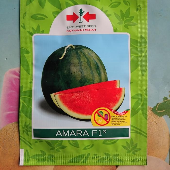Benih Bibit Semangka Non Biji AMARA F1