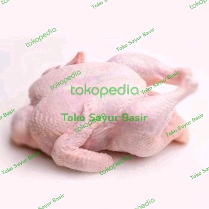 Instanbisa- Ayam Kampung Segar 1 Ekor