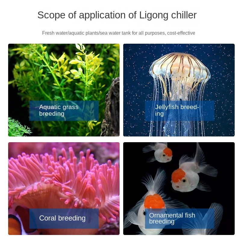 300L Large Aquarium for Chiller Fish/Planted/Shrimp/Marine/Coral Tank 1/3 HP Water Cooler Cooling Sy