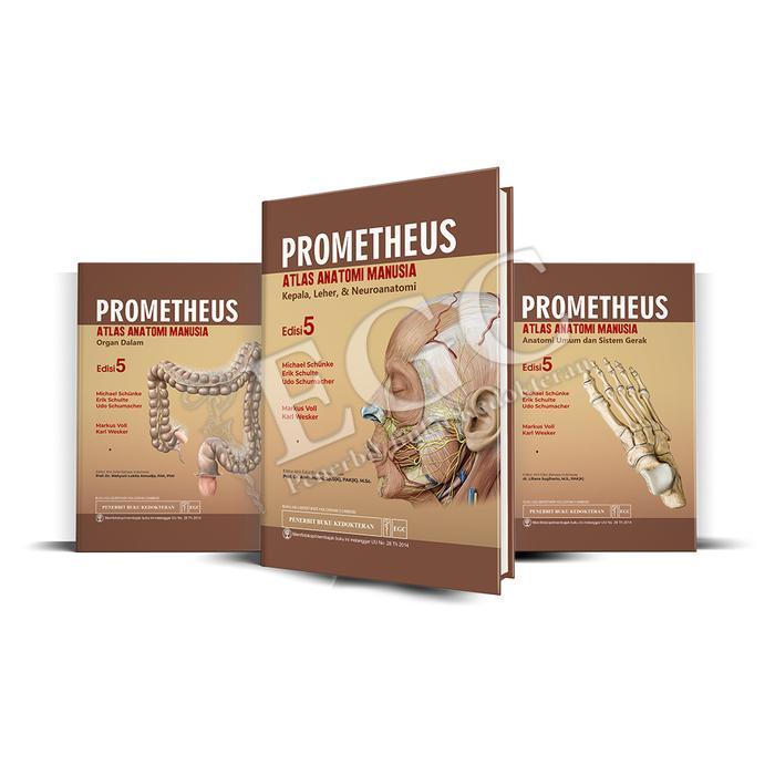 EGC Prometheus Atlas Anatomi Manusia Edisi 5 (SET 3 BUKU)