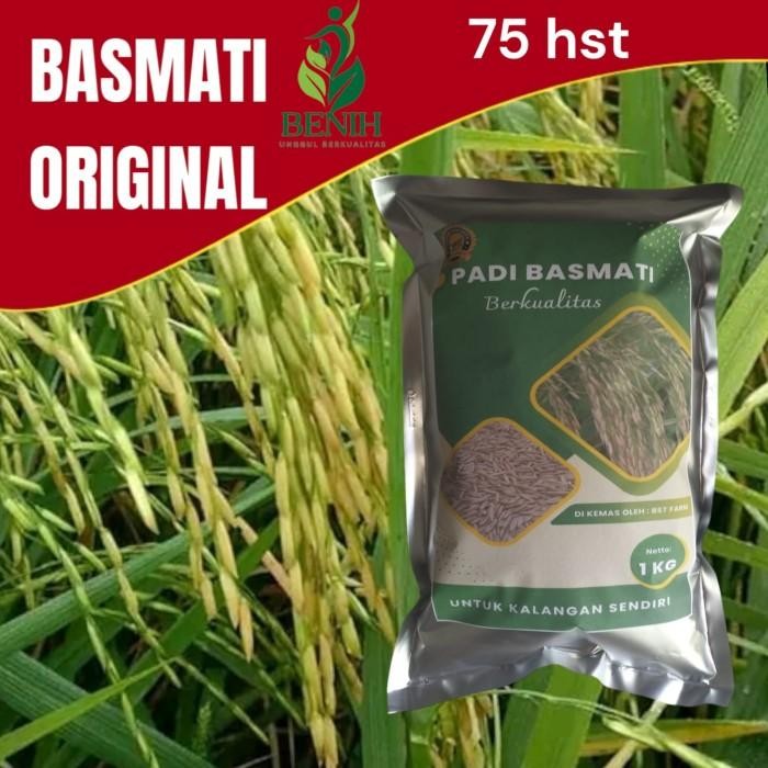 PROMO SPECIAL Benih Padi bibit Padi BASMATI 1 kg kualitas tinggi