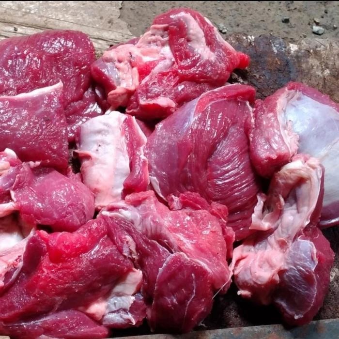 

Pilihan- Daging Kambing Utuh 500Gr Segar Halal