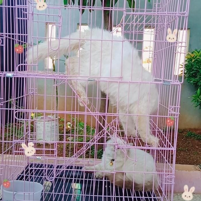 KANDANG KUCING LIPAT TINGKAT 3/KANDANG BESI LIPAT/KANDANG KUCING MURAH