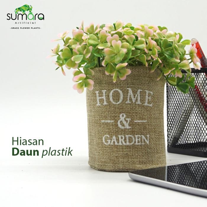 Daun Semanggi Merah Muda Pot Karung