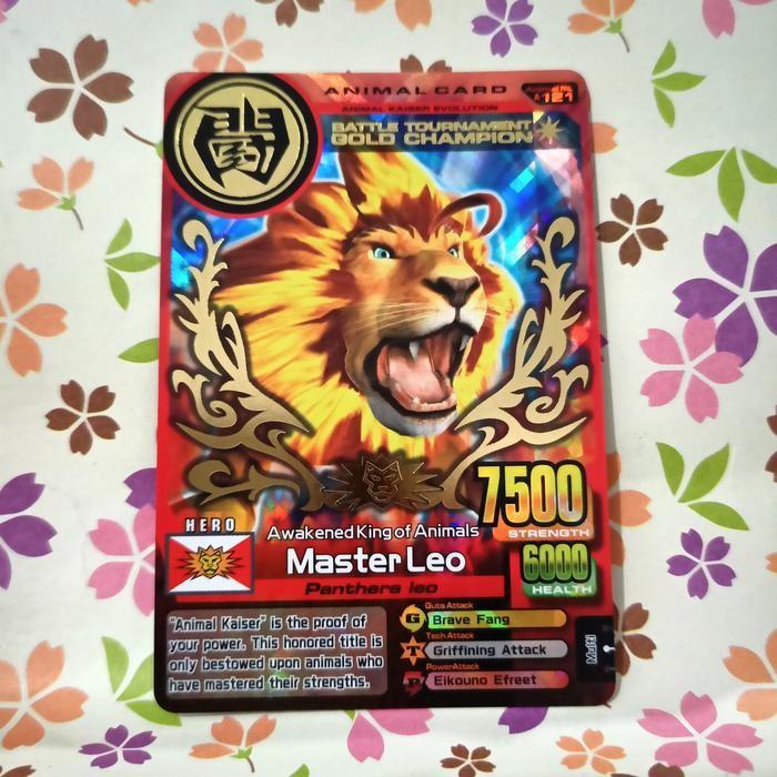 PROMO master leo gold champion animal kaiser