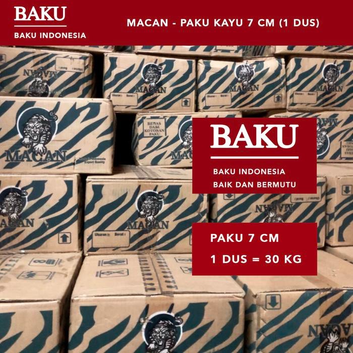Paku Kayu 7Cm - 1 Dus (Paku Papan, Kaso, Balok, Paku Serbaguna)
