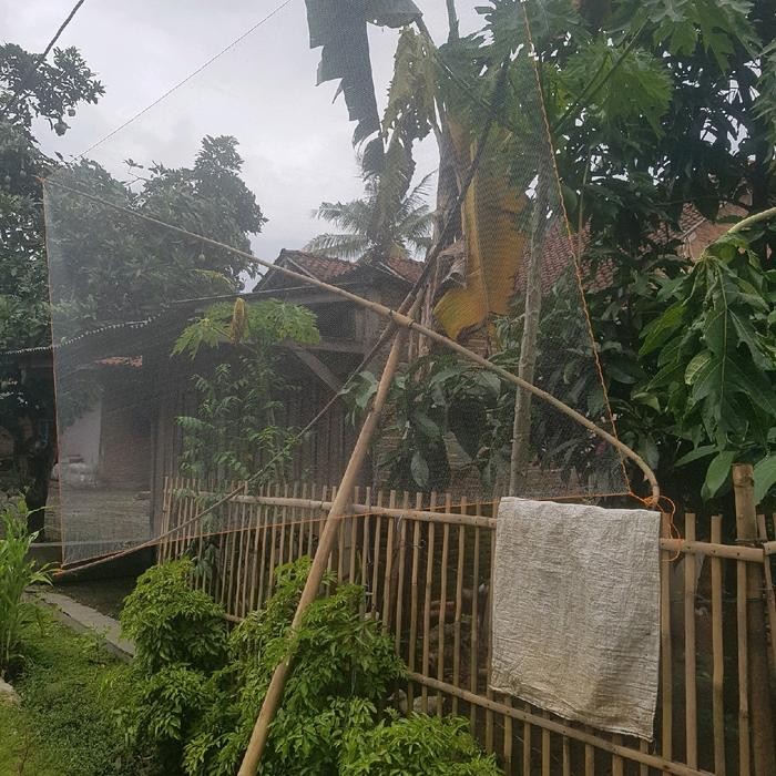 Jaring Anco Ikan Udang Wader Lubang 3/8 Inchi Pasti Promo