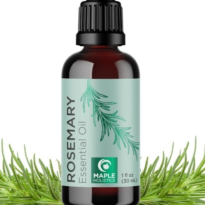 Maple Holistics Rosemary Essential Oil Pure for Hair Skin Nails 30 ml
