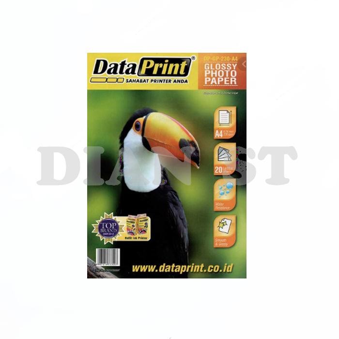

Pilihan- Kertas Foto Photo Paper Glossy A4 230 Gr Data Print - Pak
