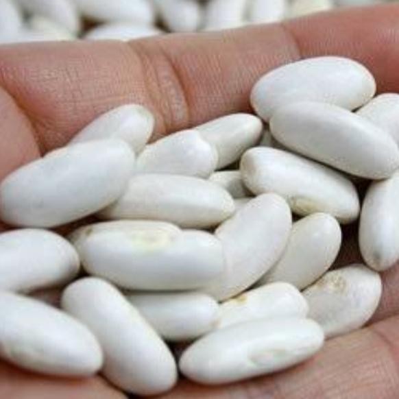 

Pilihan- White Beans 1Kg /Kacang Buncis 1Kg