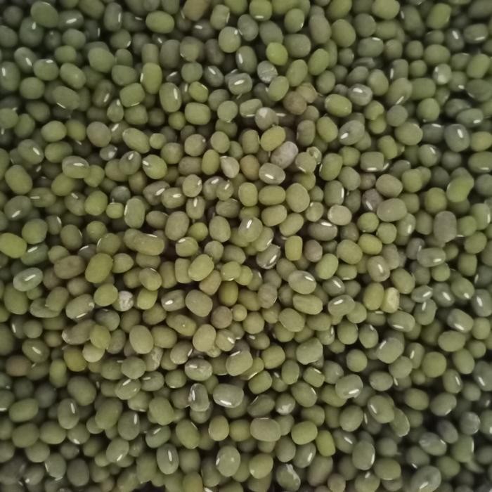 

New kacang hijau lokal super 1kg