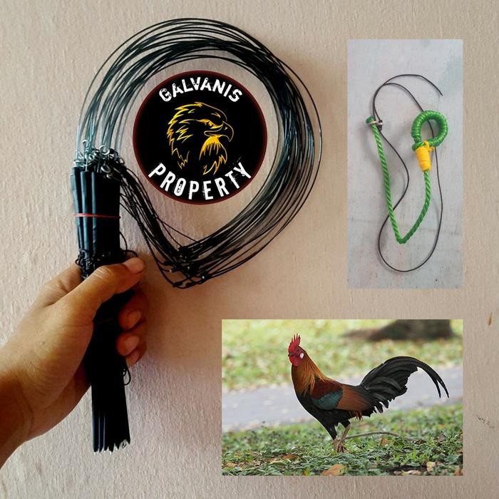 JERAT AYAM HUTAN / JEBAKAN AYAM HUTAN MODEL TANCAP ISI 25 MATA MURAH