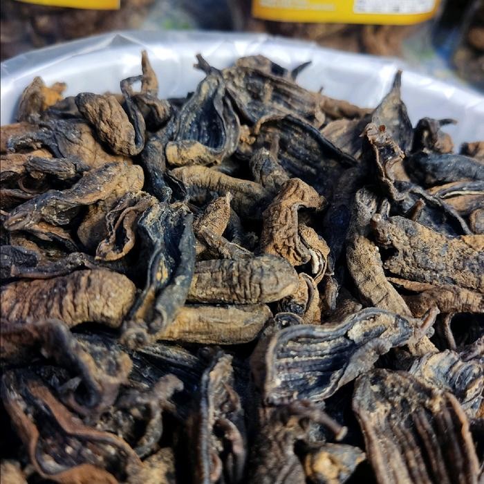 teripang seacucumber kering/mentah berbumbu siap goreng kaya rempah